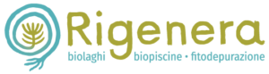 Rigenera