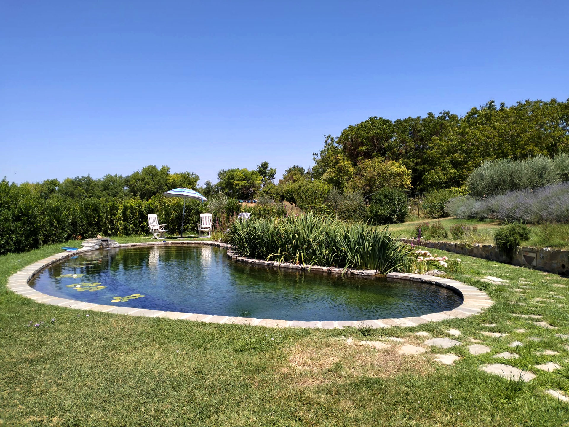 Tipologie di Biopiscine