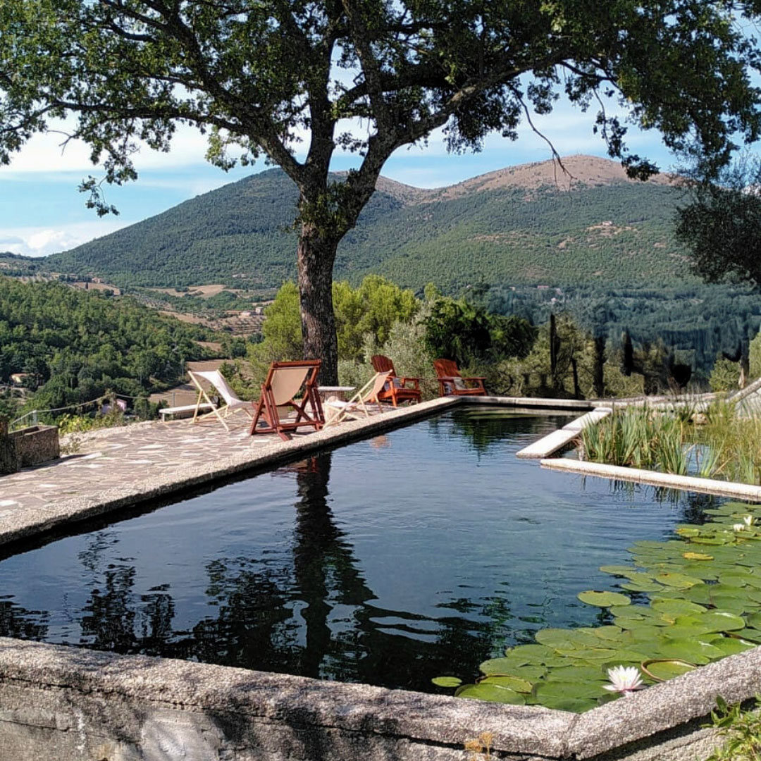 Conversione piscina in biopiscina
